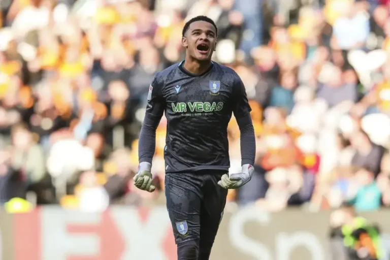 Gareth McAuley insists Pierce Charles should join ‘top club in world’ Rangers